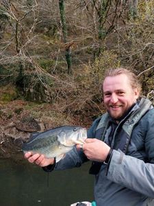 Largemouth Bass