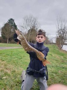 Northern Pike