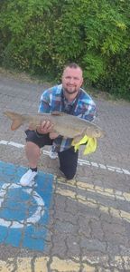 Barbel