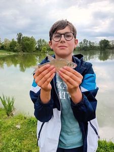 White bream