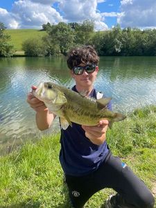 Largemouth Bass