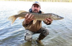 Northern Pike