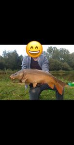 Leather Carp