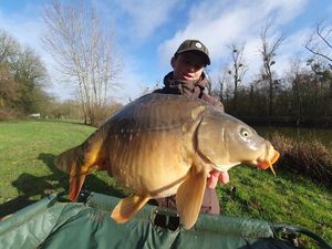 Mirror Carp