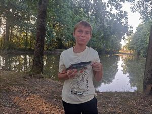 European Perch