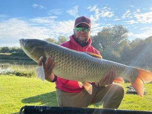 Grass Carp