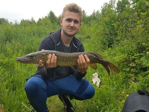 Northern Pike