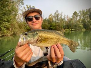 Largemouth Bass