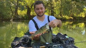 European Perch