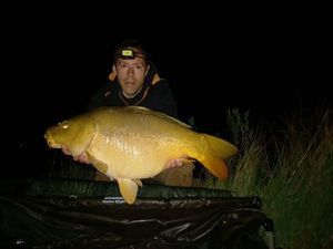 Mirror Carp
