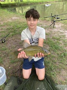 Tench
