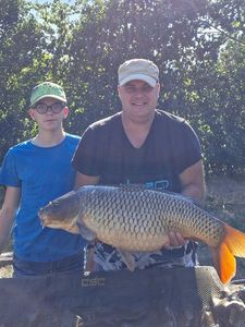 Common Carp