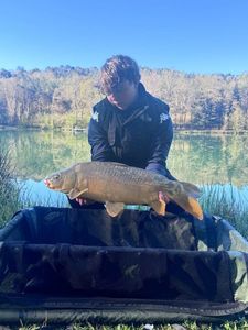 Leather Carp