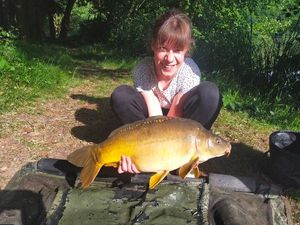 Mirror Carp