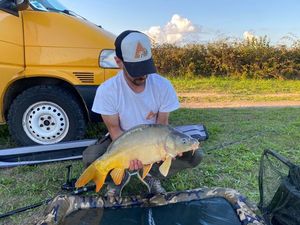 Mirror Carp