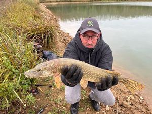 Northern Pike