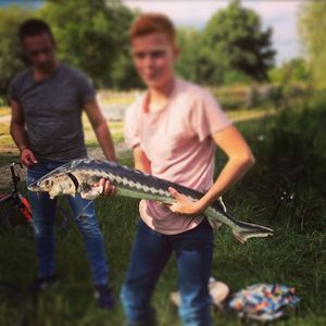 Sturgeon