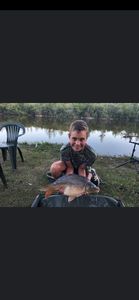 Mirror Carp