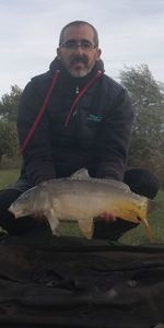 Mirror Carp