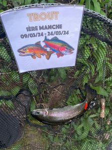 Rainbow Trout