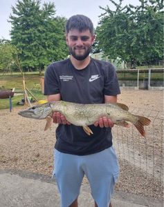 Northern Pike