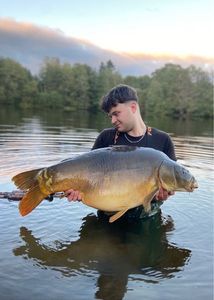 Mirror Carp