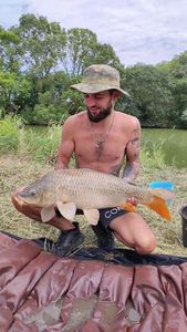 Common Carp