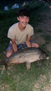 Mirror Carp