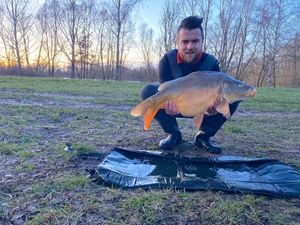 Mirror Carp