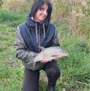 Common Bream