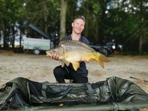 Mirror Carp