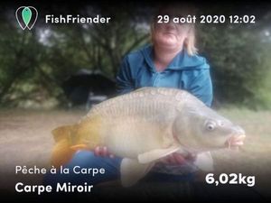 Carpe miroir
