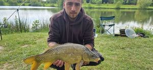Common Carp