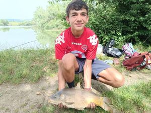 Mirror Carp