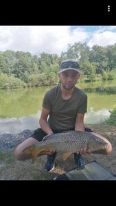 Common Carp