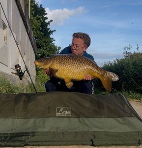 Common Carp