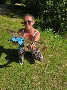 Northern Pike