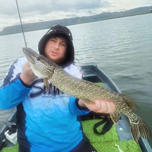 Northern Pike