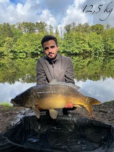Mirror Carp