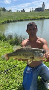 Largemouth Bass