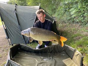 Common Carp