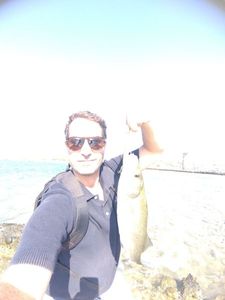 European Bass (Seabass)
