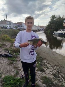 Largemouth Bass