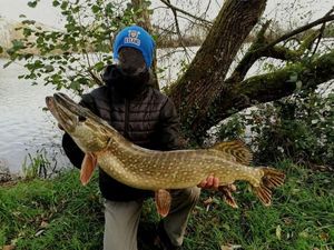 Northern Pike