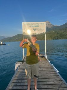 European Perch