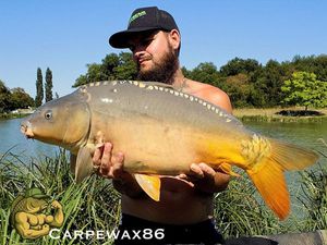 Leather Carp