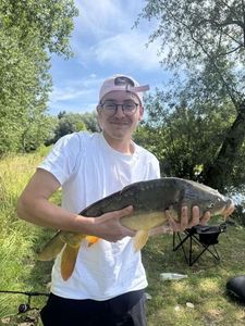 Mirror Carp