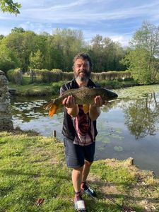 Common Carp