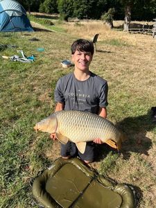 Common Carp