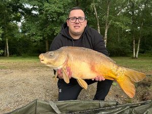 Mirror Carp
